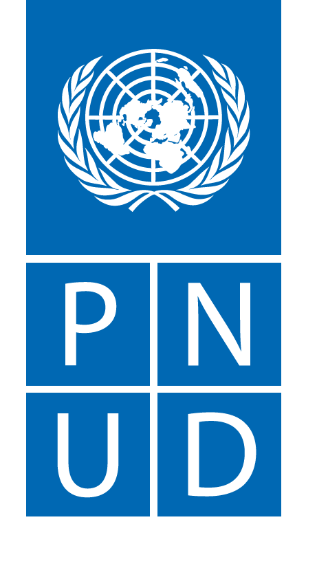 Programme des Nations Unies pour le développement